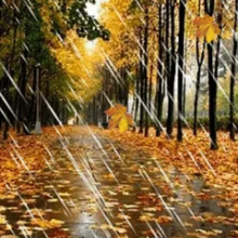 Радость ранней осени